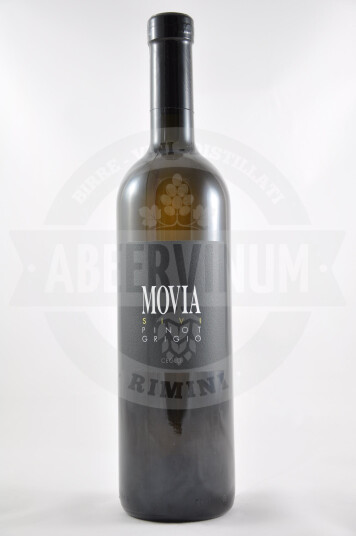 Vino Sloveno Pinot Grigio 2014 - Movia
